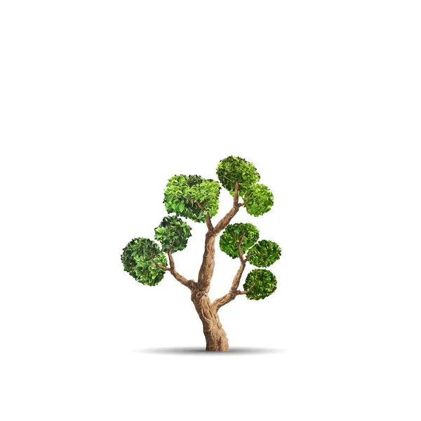 Abstract tree over white background. Eco concept — Stock Photo, Image