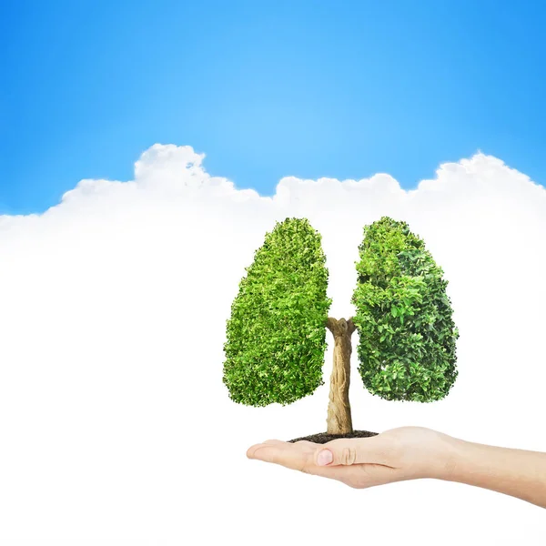 在人类肺部形成的绿色树。概念图像 — 图库照片
