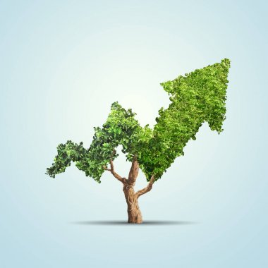 Ağaç ok şekli içinde mavi arka plan üzerinde büyür. Kavram işletme resmi