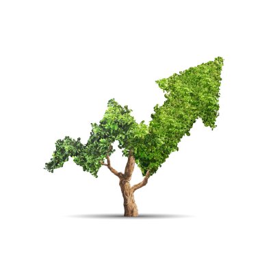 Ağaç beyaz arka plan üzerinde ok şeklinde büyüyor. Kavram işletme resmi