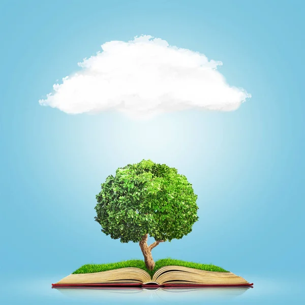 Open book with green grass field and tree on it isolated over blue background. — Stock Photo, Image