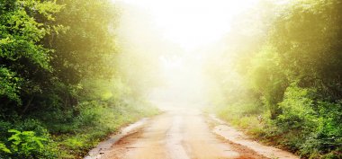 toprak yol ve bush ile savana manzara arka plan