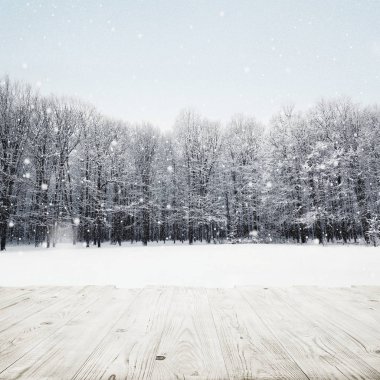 ahşap masa kış kar üzerinde orman kaplı. Güzellik doğa arka plan