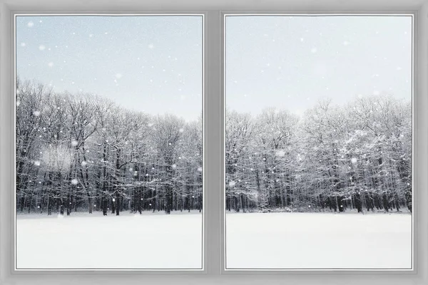 Fenster über Winter Natur Wald Hintergrund — Stockfoto