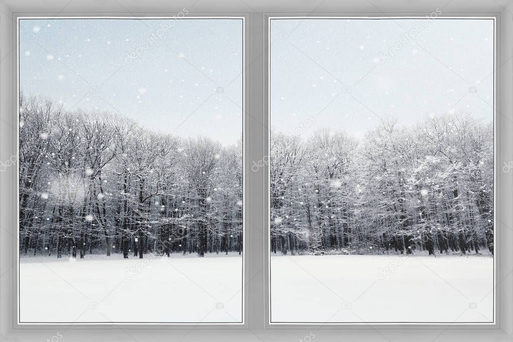 Window over winter nature forest background