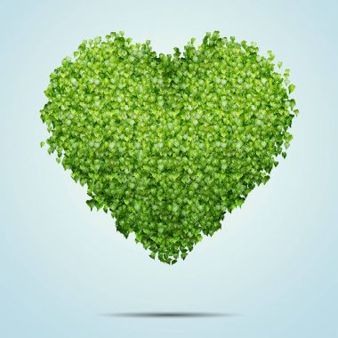 Yeşil mavi arka plan üzerinde izole kalp şeklinde yaprakları