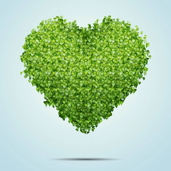 Zöld levelek alakú szív, elszigetelt, felett kék háttér — Stock Fotó