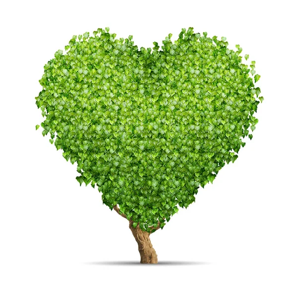 Green tree shaped in heart isolated over white background — Stock Photo, Image