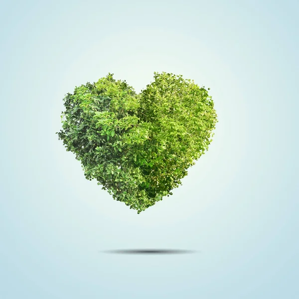 Groene boom gevormd in hart geïsoleerd op blauwe achtergrond — Stockfoto
