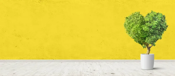 Interior do quarto vintage com herat em forma de planta em vaso de parede de concreto amarelo e fundo piso de madeira. Imagem panorâmica ampla — Fotografia de Stock