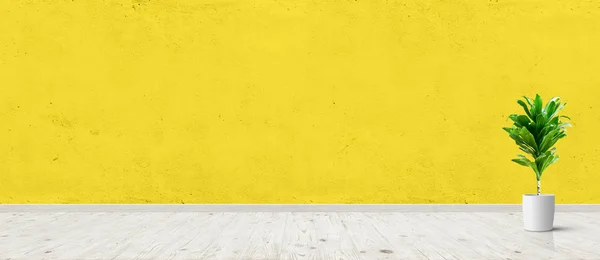 Винтажный интерьер комнаты с растением в горшке на желтой бетонной стене и фоне деревянного пола. Широкая панорама — стоковое фото
