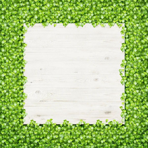 Пустая деревянная доска на фоне зеленых листьев. Пространство для текста — стоковое фото