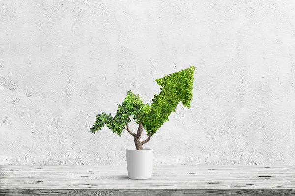 Planta verde em vaso cresce em forma de seta sobre fundo azul. Conceito imagem de negócio — Fotografia de Stock