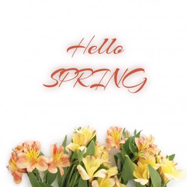 Beyaz arka plan üzerinde izole sarı çiçek