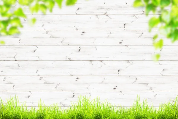 Spring green grass over wood fence background — Stock Photo, Image