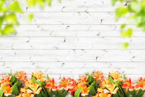 Hermosas flores sobre tablones de madera fondo — Foto de Stock