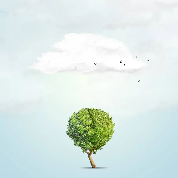 Zielone drzewo i chmura jest na niebieskim tle — Zdjęcie stockowe