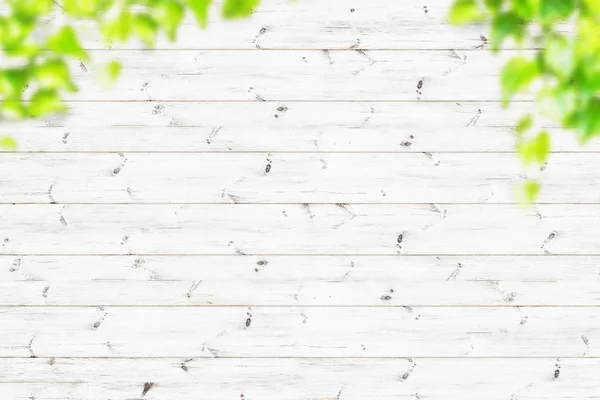 Våren gröna blad över trä staket bakgrund — Stockfoto
