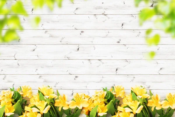 Hermosas flores sobre tablones de madera fondo — Foto de Stock