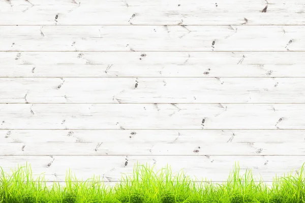 Jarní zelené listy přes dřevěný plot pozadí — Stock fotografie