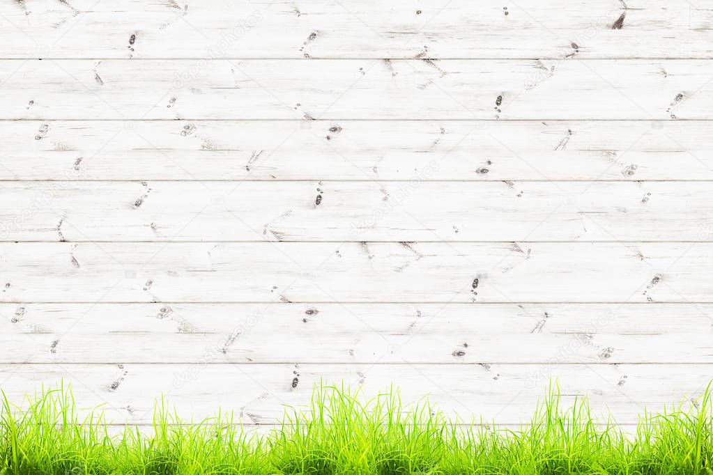 Spring green leaves over wood fence background