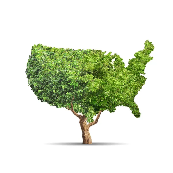 Tree grows up in USA shape over white background. Concept business image — Stock Photo, Image