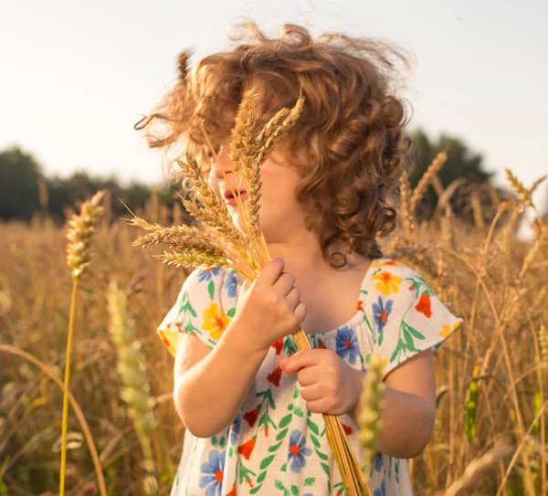 Liten flicka i sommar fält med vete — Stockfoto