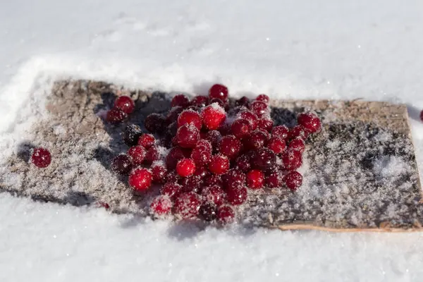 Ягодная клюква зима в снегу — стоковое фото