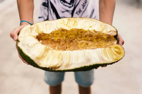 Jack fruit, bread for the poor, exotic fruit