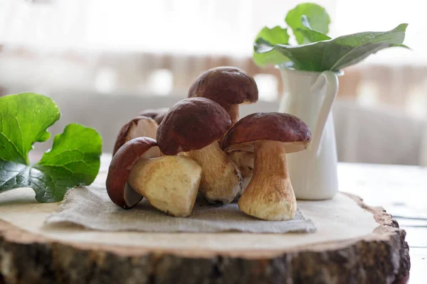 White mushrooms in the summer in the woods with a basket in the — Stock Photo, Image