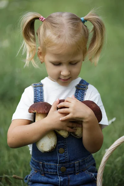 小女孩用手在绿色的草坪上的蘑菇 — 图库照片