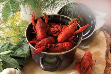 haşlanmış kerevit, Yeşiller ahşap bir masa üzerinde tavada. Bira snack