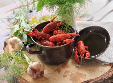 haşlanmış kerevit, Yeşiller ahşap bir masa üzerinde tavada. Bira snack