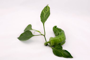 taze yeşil biber ile kök izole adam üzerinde yaprak