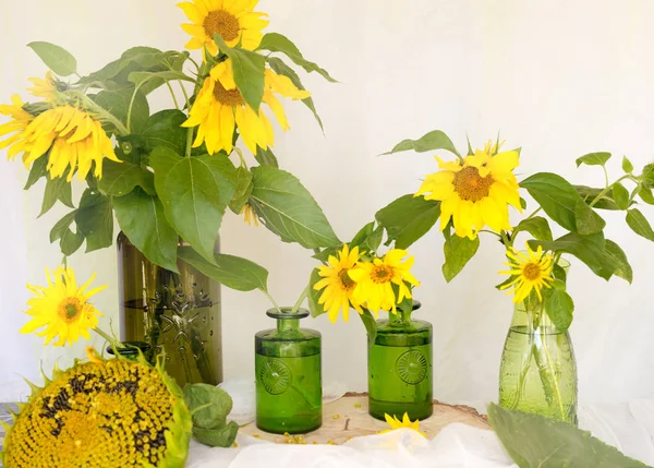 flowers sunflowers in a vase on a wooden table ripe sunflower, w