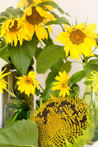 flowers sunflowers in a vase on a wooden table ripe sunflower, w