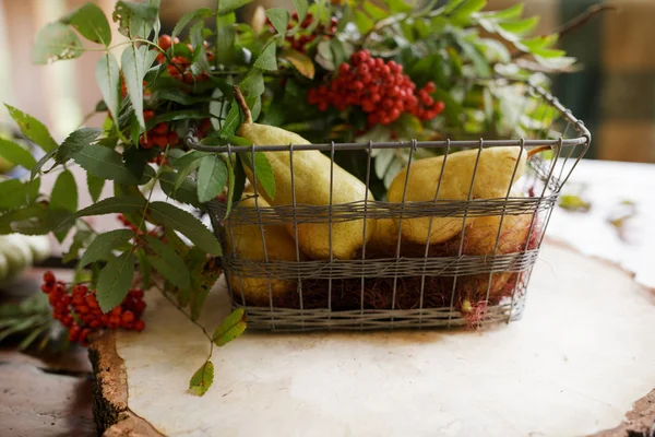 Verduras de otoño, calabaza, pera, uvas, cosecha en la pestaña de madera — Foto de Stock