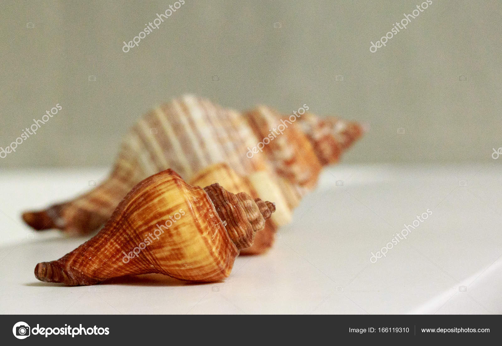 Seashells Bath Decor In Nautical Style Stock Photo