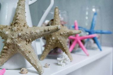 deniz kabuklarını, deniz tarzı banyo dekor