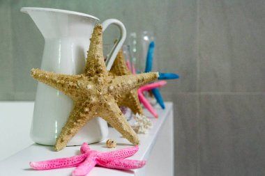 deniz kabuklarını, deniz tarzı banyo dekor