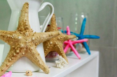 deniz kabuklarını, deniz tarzı banyo dekor