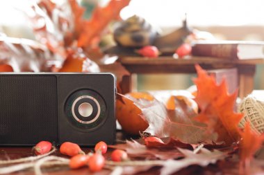 güzel sonbahar natürmort Retro radyo alıcısı. heykelcik sn