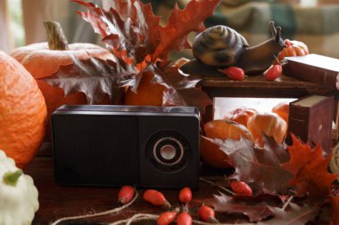 güzel sonbahar natürmort Retro radyo alıcısı. heykelcik sn
