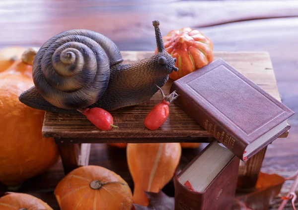 güzel sonbahar natürmort Retro radyo alıcısı. heykelcik sn