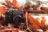 Retro kamera na podzim s jasně červené listy na dřevěné tabl