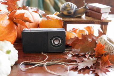 güzel sonbahar natürmort Retro radyo alıcısı. heykelcik sn