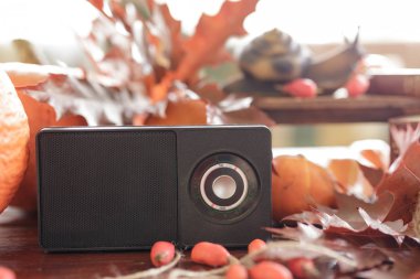 güzel sonbahar natürmort Retro radyo alıcısı. heykelcik sn
