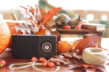 güzel sonbahar natürmort Retro radyo alıcısı. heykelcik sn