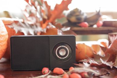 güzel sonbahar natürmort Retro radyo alıcısı. heykelcik sn