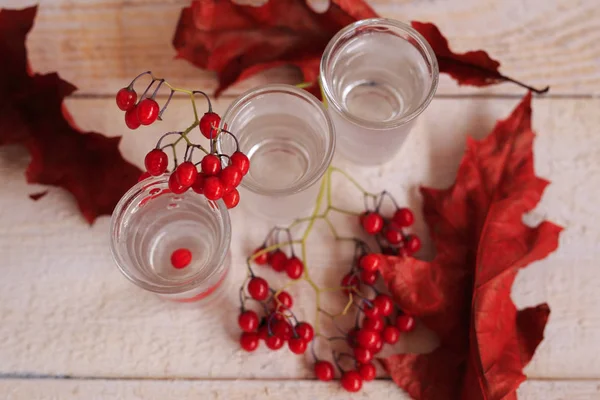 Wodka-Preiselbeeren, ein Wodka-Cocktail mit Preiselbeeren auf der Haut — Stockfoto